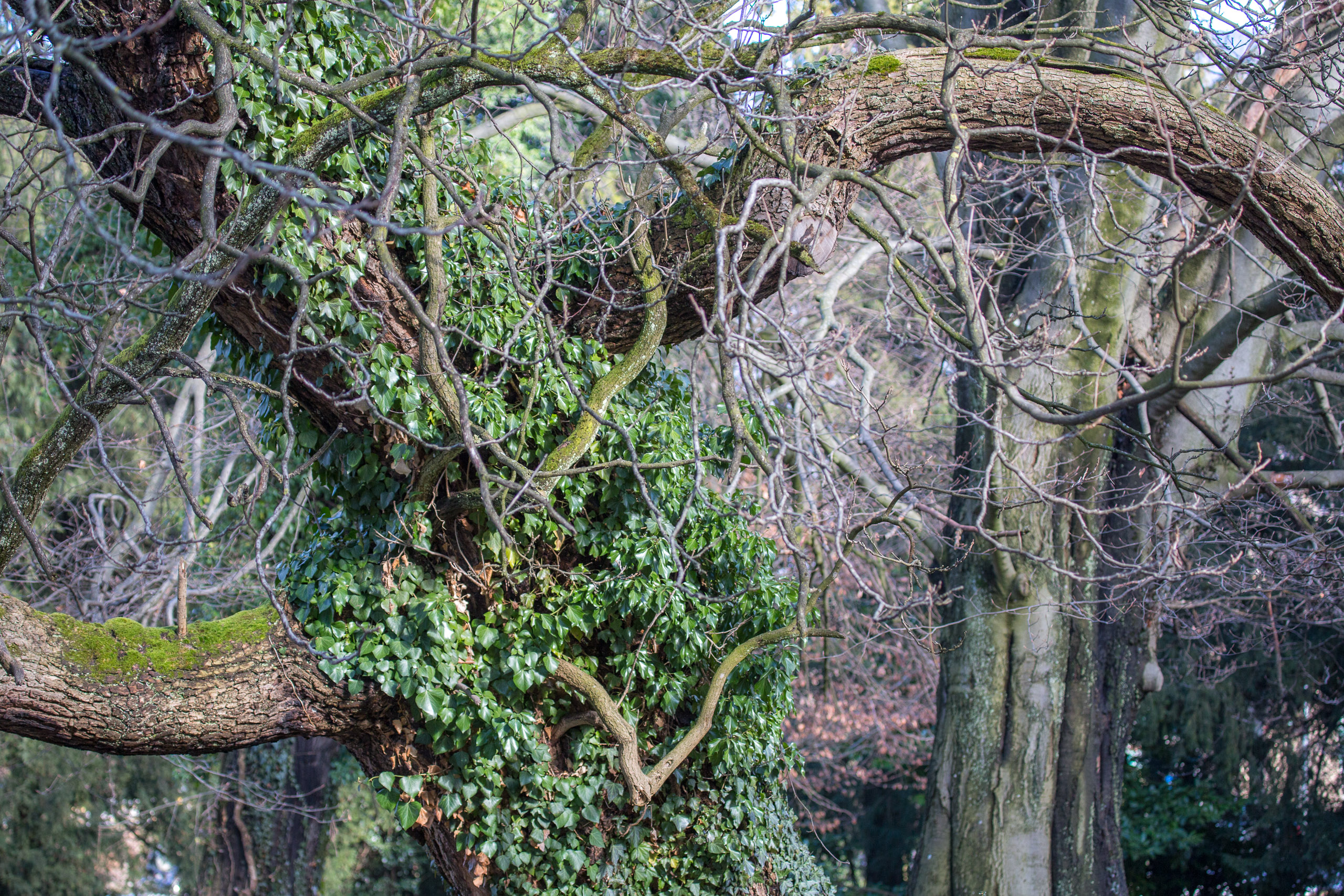 20150228152015 RD 85371